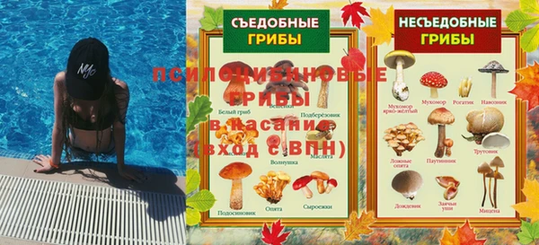 шишки Абдулино