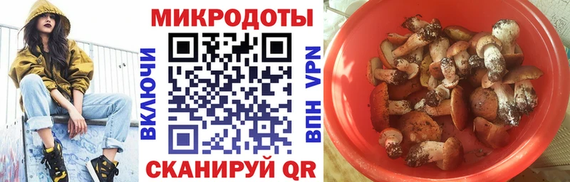blacksprut рабочий сайт  Разумное  Псилоцибиновые грибы GOLDEN TEACHER 